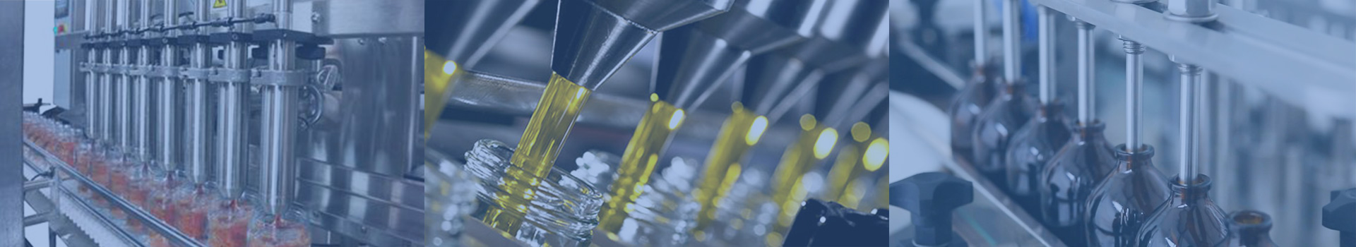 新聞動(dòng)態(tài)  /  新聞資訊